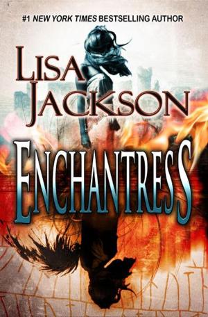 Cover of the book Enchantress by Rob Godfrey