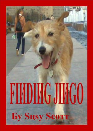 Cover of Finding Jingo