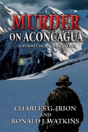 Book cover of Murder on Aconcagua