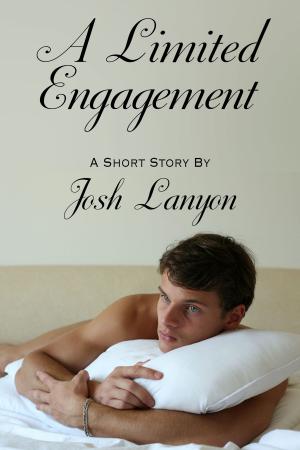 Cover of the book A Limited Engagement by Josh Lanyon
