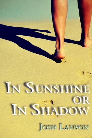 Cover of the book In Sunshine or In Shadow by Josh Lanyon