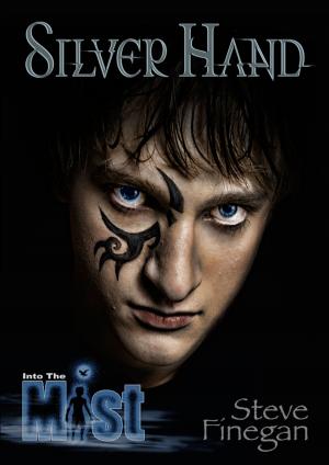 Book cover of Into the Mist: Silver Hand