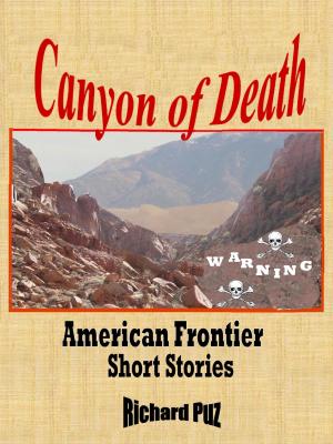 Book cover of Canyon of Death