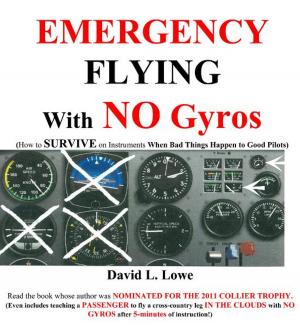 Book cover of Emergency Flying With NO Gyros: How to Survive on Instruments When Bad Things Happen to Good Pilots