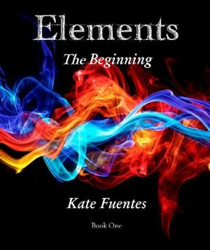 Cover of the book Elements The Beginning by Brian Smith