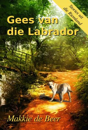Cover of the book Gees van die Labrador by Carol Karasik
