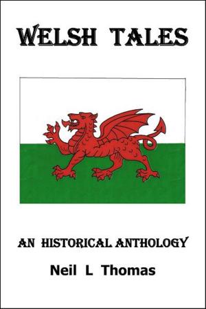 Book cover of Welsh Tales