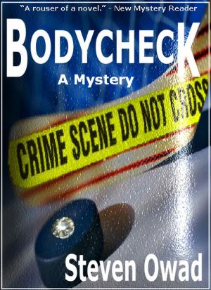 Cover of the book Bodycheck by Amos Gunner