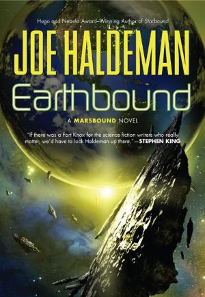 Cover of the book Earthbound by David Morisset