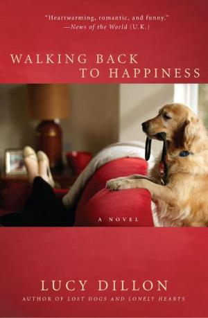 Book cover of Walking Back to Happiness
