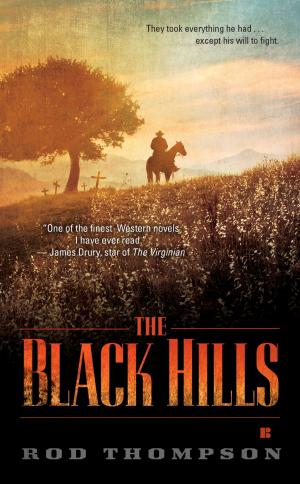 Cover of the book The Black Hills by Alice Hoffman