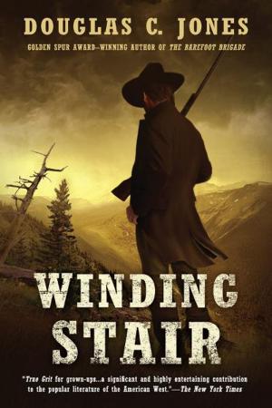 Cover of the book Winding Stair by I. J. Parker