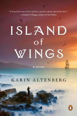 Cover of the book Island of Wings by Taylor Anderson