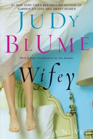 Cover of the book Wifey by Lucinda Holdforth