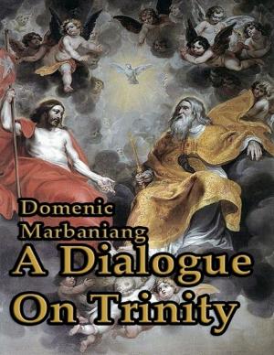 Cover of the book A Dialogue on Trinity by Shannon Bradley Byers