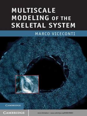 bigCover of the book Multiscale Modeling of the Skeletal System by 
