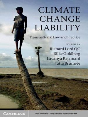 Cover of the book Climate Change Liability by Bruce Rocheleau