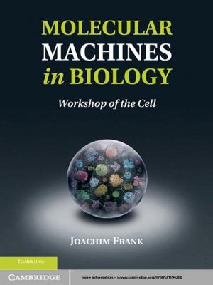 Cover of the book Molecular Machines in Biology by A. Denny Ellerman, Frank J. Convery, Christian de Perthuis, Emilie Alberola, Barbara K. Buchner, Anaïs Delbosc, Cate Hight, Jan Horst Keppler, Felix C. Matthes