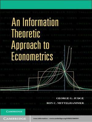 Cover of the book An Information Theoretic Approach to Econometrics by Christian A. Witting