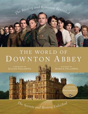 Cover of the book The World of Downton Abbey by Debbie Lacy