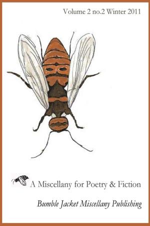bigCover of the book Bumble Jacket Miscellany: a miscellany for poetry and fiction 2:2 by 