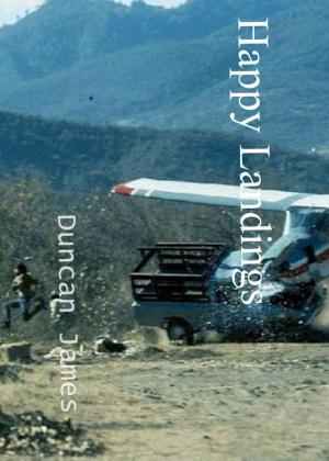Cover of the book Happy Landings by Giorgio Ressel