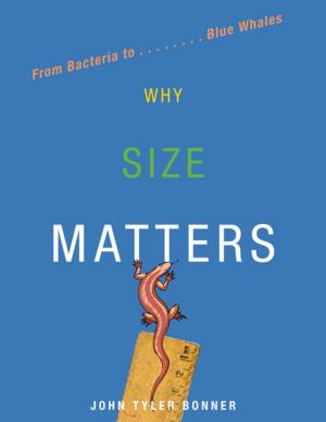 Cover of the book Why Size Matters by David Goodstein