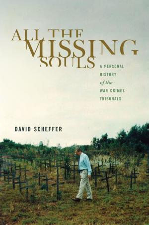 Cover of the book All the Missing Souls by Moulie Vidas