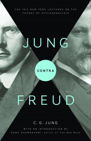 Cover of the book Jung contra Freud by Tim Büthe, Walter Mattli