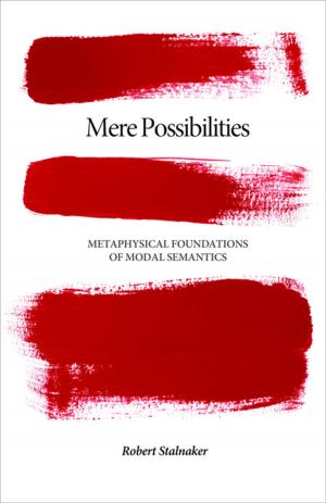 Cover of the book Mere Possibilities by D. P. O'Brien