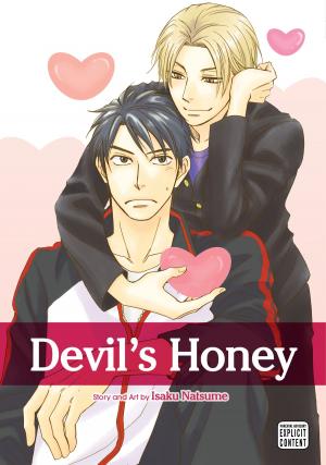 Cover of the book Devil's Honey (Yaoi Manga) by Hidenori Kusaka