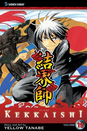 bigCover of the book Kekkaishi, Vol. 19 by 