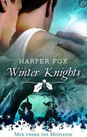 Cover of the book Winter Knights by Sally Malcolm