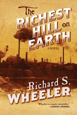 Cover of the book The Richest Hill on Earth by Morgan Llywelyn