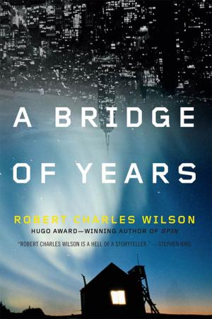 Cover of the book A Bridge of Years by Corey J. White