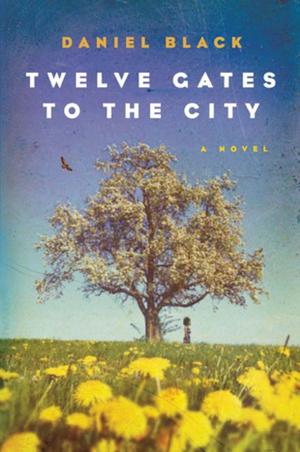 Book cover of Twelve Gates to the City
