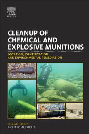 Cover of the book Cleanup of Chemical and Explosive Munitions by Marius Zimand