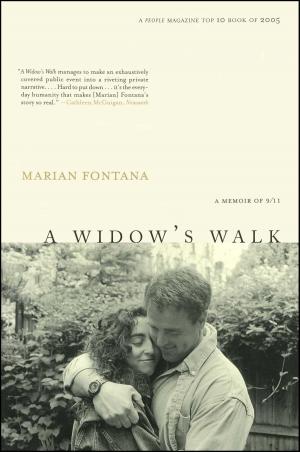 Cover of the book A Widow's Walk by Julie Baumgold