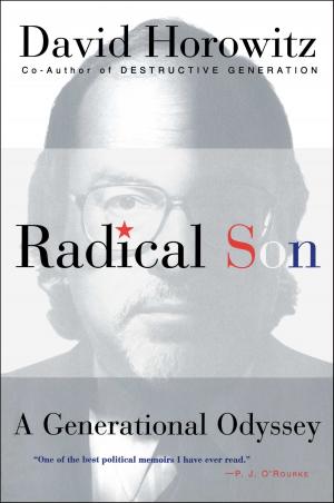 bigCover of the book Radical Son by 
