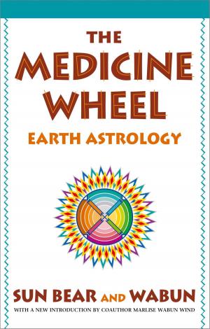 Cover of the book The Medicine Wheel by Spencer Quinn