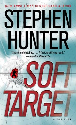Cover of the book Soft Target by Tammi Sauer