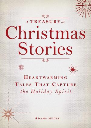 Cover of the book A Treasury of Christmas Stories by Seanaphoka Tsapi