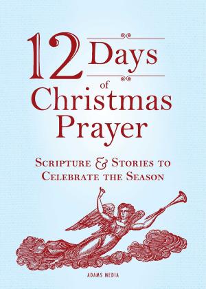 Cover of 12 Days of Christmas Prayer
