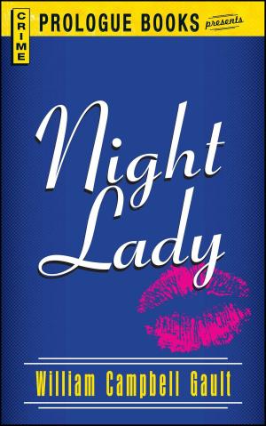 Cover of the book Night Lady by Pamela Rice Hahn