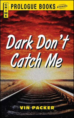 Cover of the book Dark Don't Catch Me by Marcia Simmons