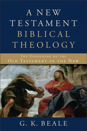 Cover of the book A New Testament Biblical Theology by Jackie Pullinger, Andrew Quicke