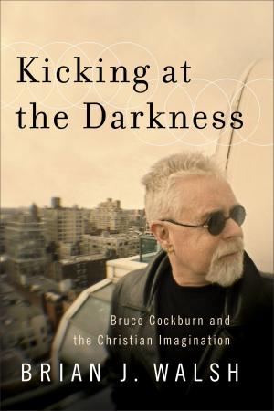 Book cover of Kicking at the Darkness