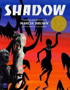 Cover of the book Shadow by Cynthia Voigt