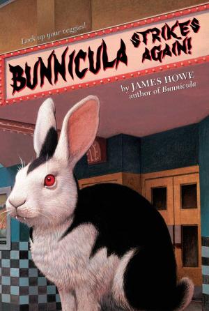 Cover of Bunnicula Strikes Again!