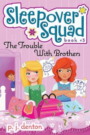 Cover of the book The Trouble with Brothers by Beth Stern